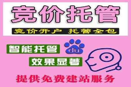 包年推广新篇章：百度竞价的多维度应用案例